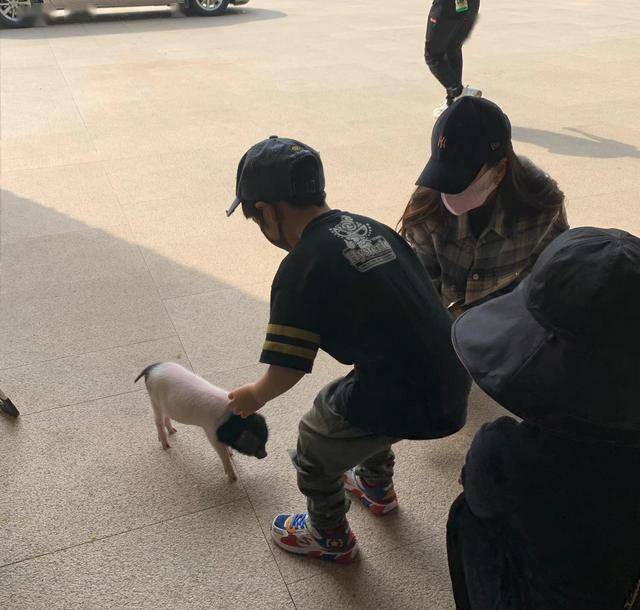 肚曝光这下前妻杨颖彻底笑不出来了！k8凯发黄晓明二胎实锤！叶珂大孕(图5)